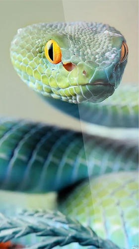 Serpent 