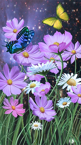 Eté: Fleurs et papillons  