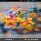 Outre le fond d'écran animé Galaxie d'eau   pour Android téléchargez l'apk gratuit de screensaver 1031 fleurs .
