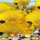 Outre le fond d'écran animé Juteux  pour Android téléchargez l'apk gratuit de screensaver Aquarium  .