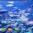 Outre le fond d'écran animé Traces pour Android téléchargez l'apk gratuit de screensaver Aquarium HD 2.