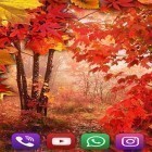 Outre le fond d'écran animé Multicouleur pour Android téléchargez l'apk gratuit de screensaver Pluie d'automne .