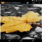 Outre le fond d'écran animé Rose blanche pour Android téléchargez l'apk gratuit de screensaver Fond d'écran d'automne .