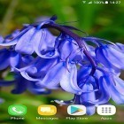 Outre le fond d'écran animé Singe 3D pour Android téléchargez l'apk gratuit de screensaver Belles fleurs de printemps .