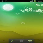 Outre le fond d'écran animé Feuilles d'automne 3D pour Android téléchargez l'apk gratuit de screensaver Nuit florissante  .