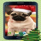 Téléchargez Chiens de Noël   sur Android et d'autres fonds d'écran animés gratuits pour Sony Ericsson Yendo.