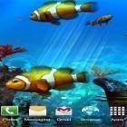 Outre le fond d'écran animé Rose  pour Android téléchargez l'apk gratuit de screensaver Aquarium avec les amphiprions 3D .