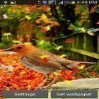 Outre le fond d'écran animé Fleurs roses  pour Android téléchargez l'apk gratuit de screensaver Oiseaux aimables .