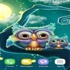 Outre le fond d'écran animé L`aquarium  pour Android téléchargez l'apk gratuit de screensaver Hiboux sympas .