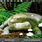 Outre le fond d'écran animé Terre pour Android téléchargez l'apk gratuit de screensaver Dinosaure .
