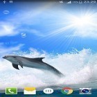 Outre le fond d'écran animé Nuages HD 5  pour Android téléchargez l'apk gratuit de screensaver Dauphin .