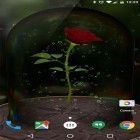Outre le fond d'écran animé Poisson de combat 3D  pour Android téléchargez l'apk gratuit de screensaver Rose enchantée  .