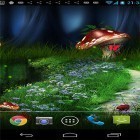 Outre le fond d'écran animé Eté: Fleurs et papillons   pour Android téléchargez l'apk gratuit de screensaver Luciole .