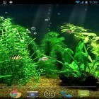Outre le fond d'écran animé La vague pour Android téléchargez l'apk gratuit de screensaver Aquarium HD .