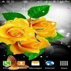 Outre le fond d'écran animé Roses  pour Android téléchargez l'apk gratuit de screensaver Fleurs  .