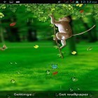 Outre le fond d'écran animé Gouttes de pluie d'automne pour Android téléchargez l'apk gratuit de screensaver Singe ridicule .
