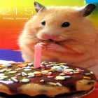 Outre le fond d'écran animé Montre d'auto pour Android téléchargez l'apk gratuit de screensaver Hamster.
