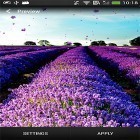 Outre le fond d'écran animé Fleurs d'automne et d'hiver   pour Android téléchargez l'apk gratuit de screensaver Lavande .