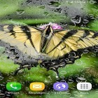 Outre le fond d'écran animé L`eau réelle  pour Android téléchargez l'apk gratuit de screensaver Macro papillons .
