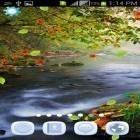 Outre le fond d'écran animé Cascade 3D  pour Android téléchargez l'apk gratuit de screensaver Nature magique  .