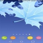 Outre le fond d'écran animé Avion pour Android téléchargez l'apk gratuit de screensaver Feuilles d'érable .