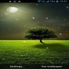 Outre le fond d'écran animé Les feuilles fraîches  pour Android téléchargez l'apk gratuit de screensaver Limière de lune  .