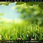 Outre le fond d'écran animé Fruits pour Android téléchargez l'apk gratuit de screensaver Félicité de nature  .