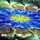 Téléchargez Fleurs de néon   sur Android et d'autres fonds d'écran animés gratuits pour LG Optimus Me P350.