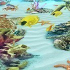Outre le fond d'écran animé Lumineux  pour Android téléchargez l'apk gratuit de screensaver Ocean Aquarium 3D: Ile des tortues  .