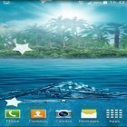 Outre le fond d'écran animé Ma fleur 3D  pour Android téléchargez l'apk gratuit de screensaver Océan  .