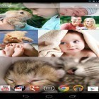 Outre le fond d'écran animé Champignon sympa  pour Android téléchargez l'apk gratuit de screensaver Mur photo  .