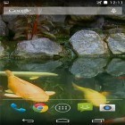 Outre le fond d'écran animé L`écran panoramique  pour Android téléchargez l'apk gratuit de screensaver Etang avec le koi  .
