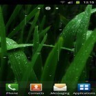 Outre le fond d'écran animé Montre vive pour Android téléchargez l'apk gratuit de screensaver Pluie  .