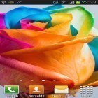 Outre le fond d'écran animé Fleurs en pâte à modeler  pour Android téléchargez l'apk gratuit de screensaver Roses irisées  .