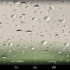 Outre le fond d'écran animé Chat pour Android téléchargez l'apk gratuit de screensaver Journée pluvieuse  .