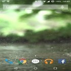 Outre le fond d'écran animé Feuille d'érable pour Android téléchargez l'apk gratuit de screensaver Pluie réelle .
