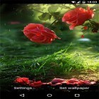 Outre le fond d'écran animé Ta ville 3D pour Android téléchargez l'apk gratuit de screensaver Rose rouge .