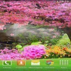 Outre le fond d'écran animé Verrouillage peluché d'écran pour Android téléchargez l'apk gratuit de screensaver Sakura  .