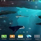 Outre le fond d'écran animé Cygnes amoureux: Rayonnement  pour Android téléchargez l'apk gratuit de screensaver Requins 3D .