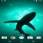 Outre le fond d'écran animé Magnat d'argent pour Android téléchargez l'apk gratuit de screensaver Requins .
