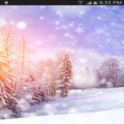 Outre le fond d'écran animé Laucher de solo pour Android téléchargez l'apk gratuit de screensaver Chute de neige .