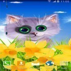 Outre le fond d'écran animé Tendre beauté: Fleur pour Android téléchargez l'apk gratuit de screensaver Chat de printemps .
