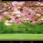 Outre le fond d'écran animé Le système solaire. Edition deluxe.  pour Android téléchargez l'apk gratuit de screensaver Fleurs de printemps .