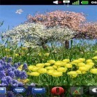 Outre le fond d'écran animé Le chaton Tummy pour Android téléchargez l'apk gratuit de screensaver Fleurs de printemps .