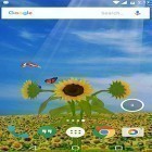 Outre le fond d'écran animé Sons des oiseaux et ringtones  pour Android téléchargez l'apk gratuit de screensaver Tournesol 3D .