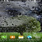 Outre le fond d'écran animé Goutte d'eau: Fleurs et feuilles  pour Android téléchargez l'apk gratuit de screensaver Orage .