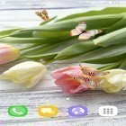 Outre le fond d'écran animé Eté  pour Android téléchargez l'apk gratuit de screensaver Tulipes .
