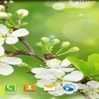 Outre le fond d'écran animé Fleurs lumineuses  pour Android téléchargez l'apk gratuit de screensaver Gouttes d'eau  .