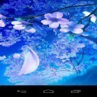 Outre le fond d'écran animé Sous l'eau pour Android téléchargez l'apk gratuit de screensaver Sakura magique 3D.