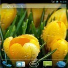 Outre le fond d'écran animé La Terre  pour Android téléchargez l'apk gratuit de screensaver Fleures suprenantes printanières.